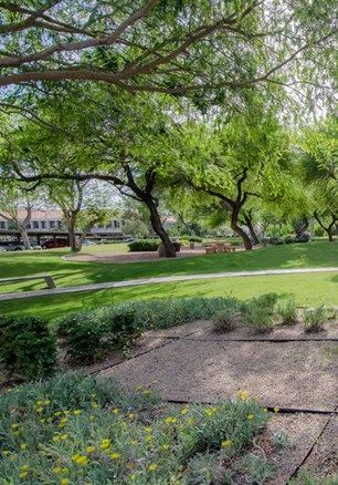 Leased - High-End Built-Out Office: 2390 E Camelback Rd, Phoenix, AZ 85016